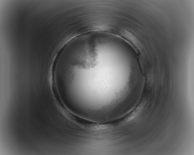 X0000088831034200706141517
