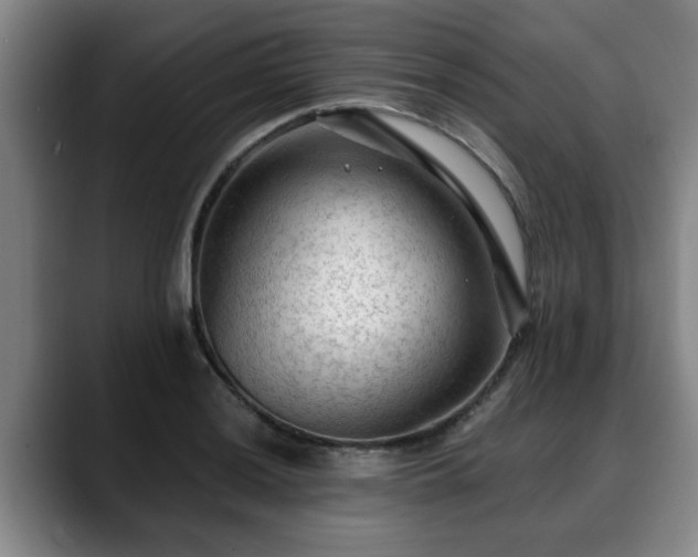X0000088831036200706141517