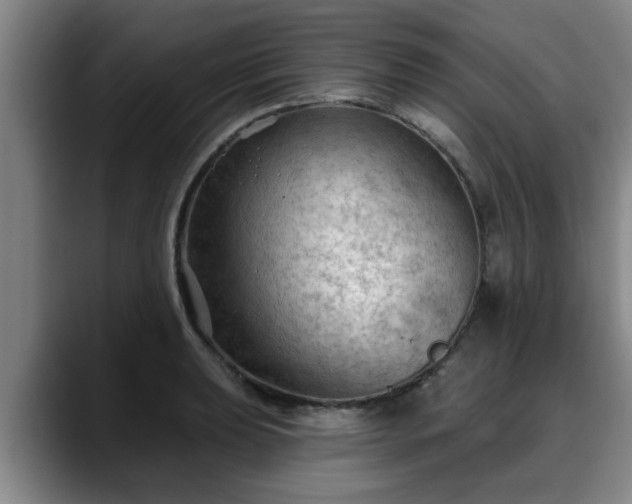 X0000088831039200706141517