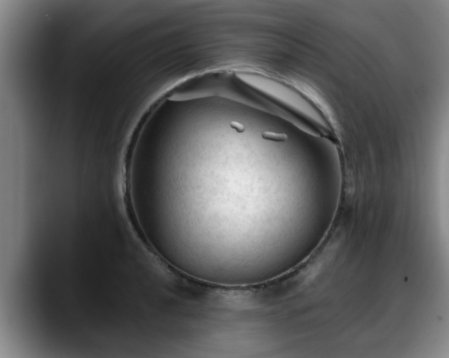 X0000088831040200706141517