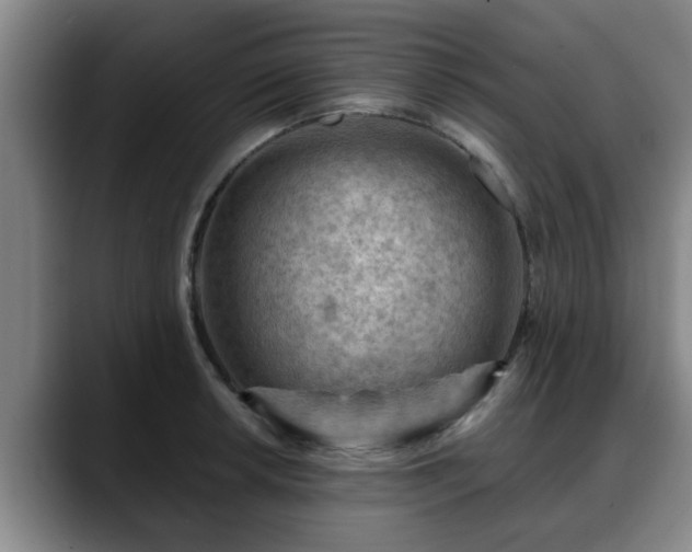 X0000088831042200706141517