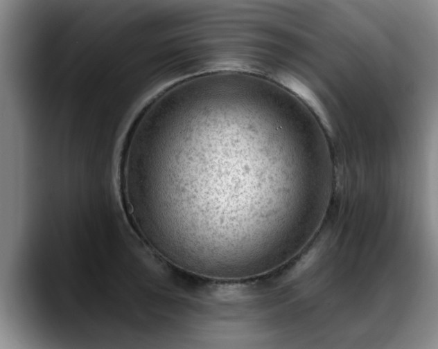 X0000088831043200706141517