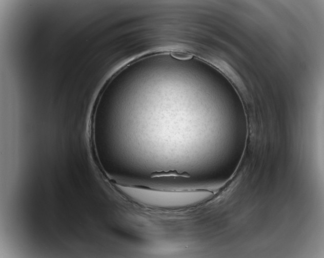 X0000088831044200706141517