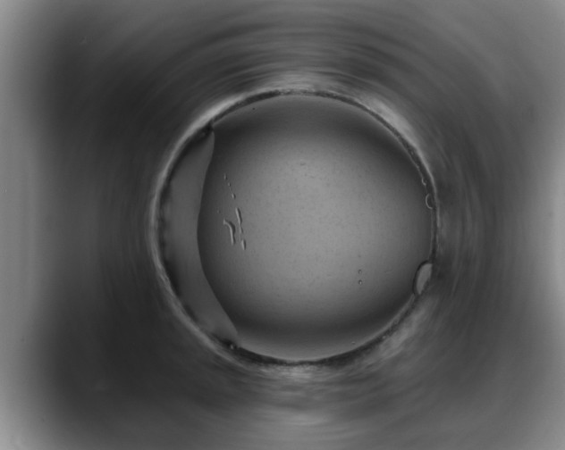 X0000088831045200706141517