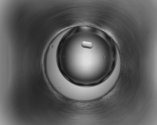 X0000088831046200706141517
