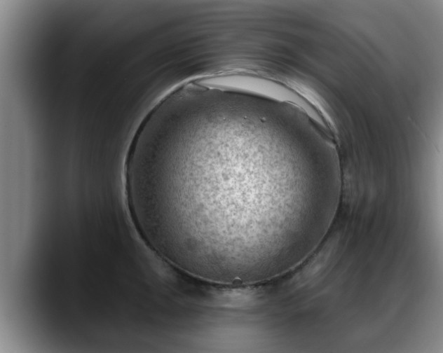 X0000088831047200706141517
