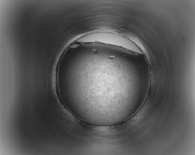X0000088831048200706141517