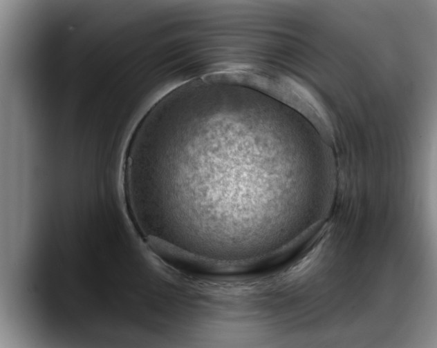 X0000088831050200706141517