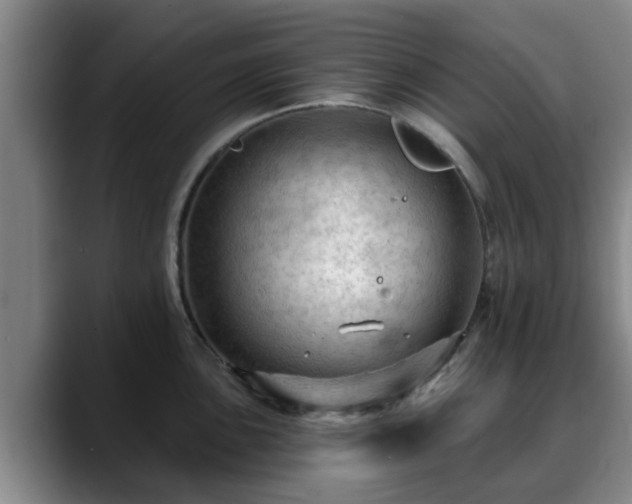 X0000088831051200706141517