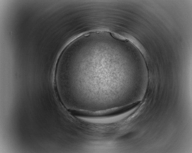 X0000088831052200706141517
