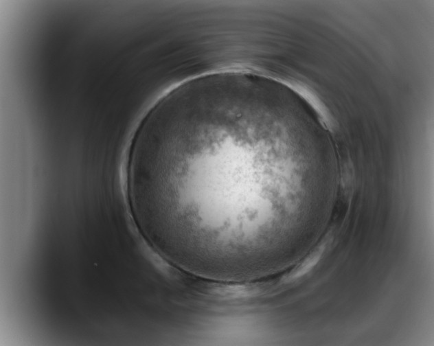 X0000088831054200706141517