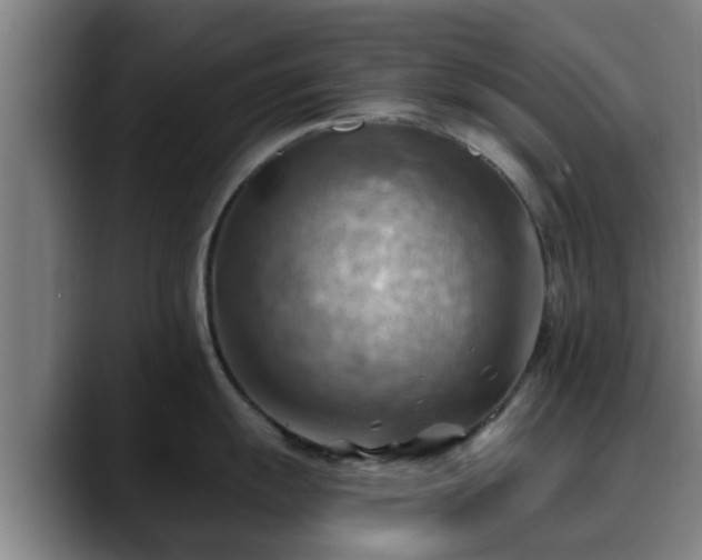X0000088831055200706141517