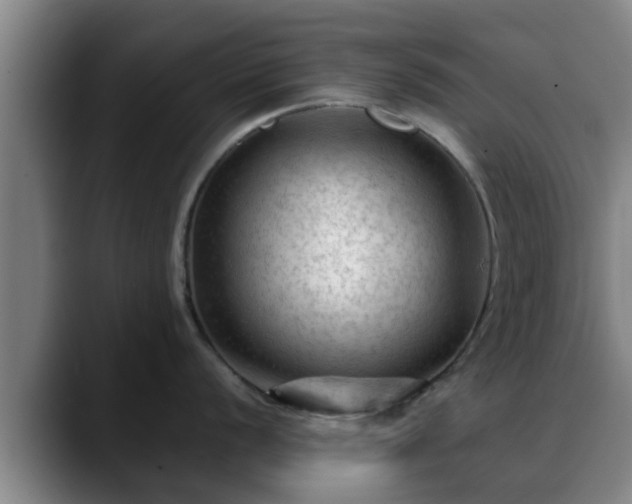 X0000088831056200706141517