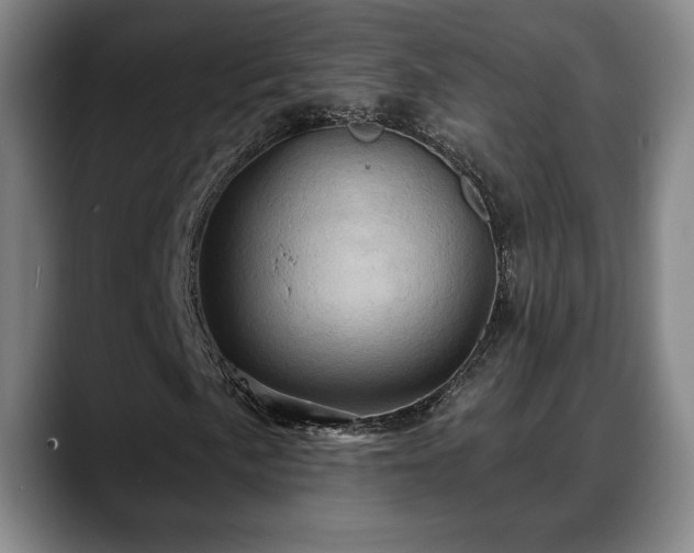 X0000088831057200706141516