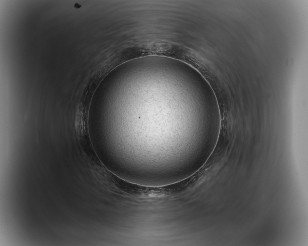 X0000088831058200706141516