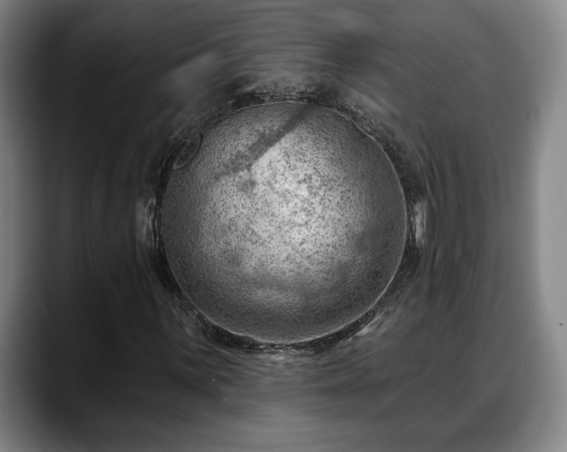 X0000088831059200706141516