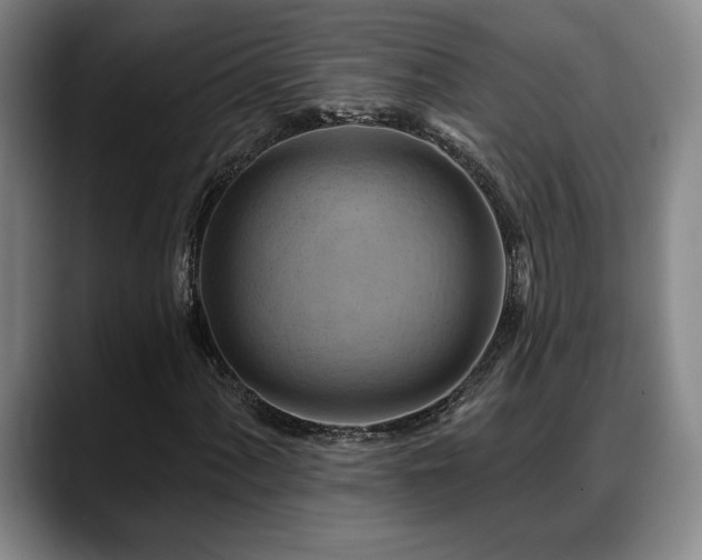 X0000088831060200706141516