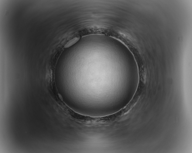 X0000088831061200706141516
