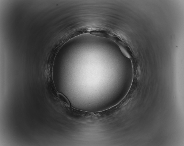X0000088831062200706141516