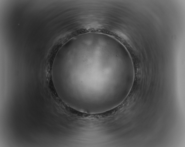 X0000088831063200706141516
