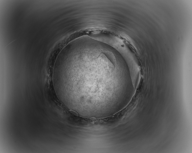 X0000088831064200706141516