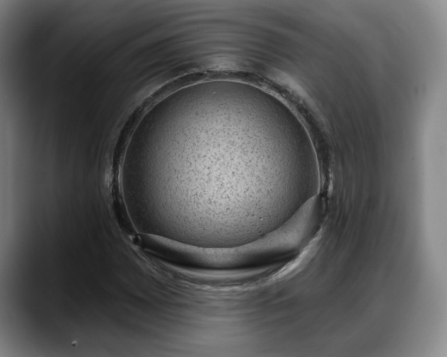 X0000088831065200706141516