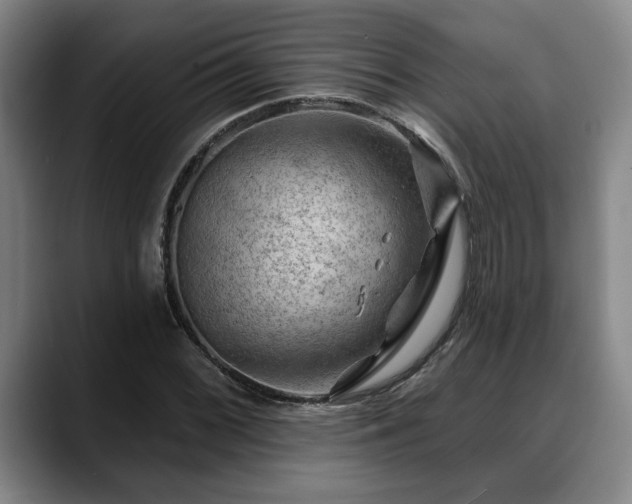 X0000088831068200706141516