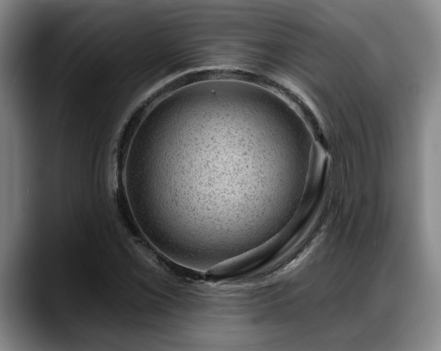 X0000088831069200706141516
