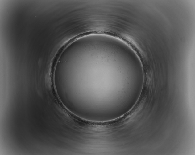 X0000088831071200706141516