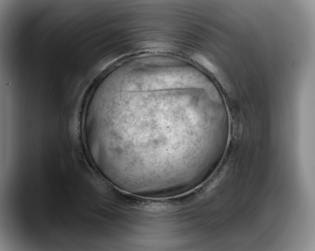 X0000088831074200706141516