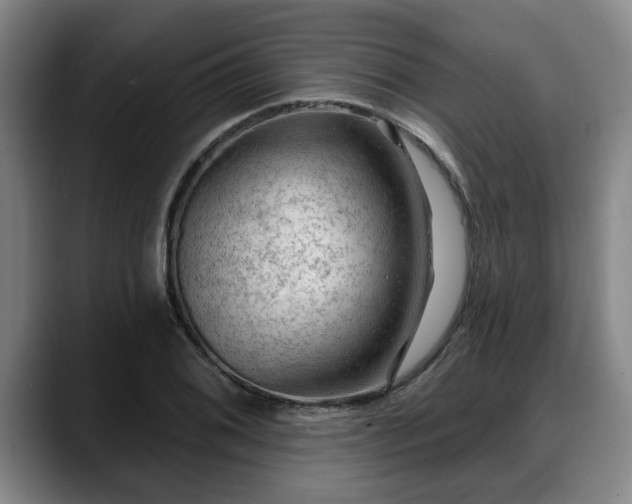 X0000088831076200706141516