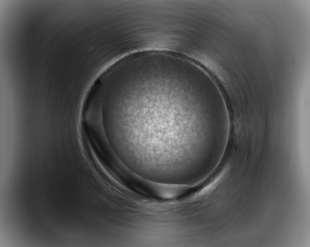 X0000088831077200706141516