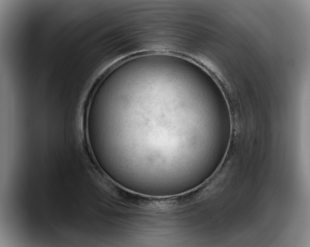 X0000088831078200706141516