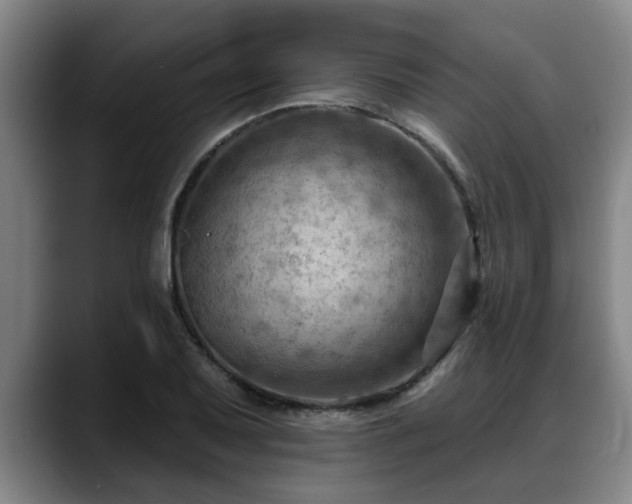 X0000088831079200706141516