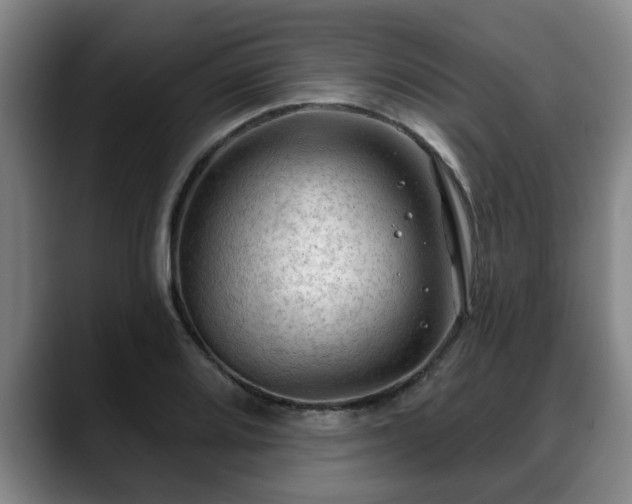 X0000088831080200706141516