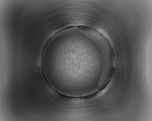 X0000088831081200706141516