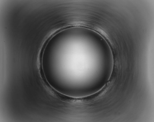 X0000088831082200706141516