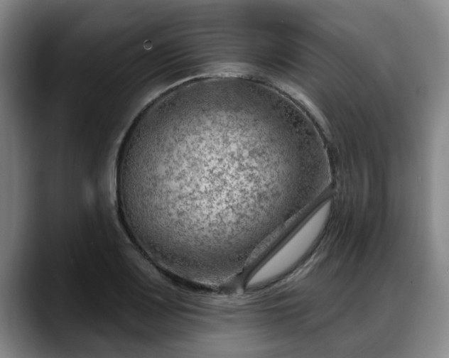 X0000088831083200706141516