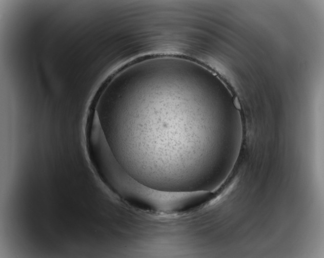 X0000088831085200706141516