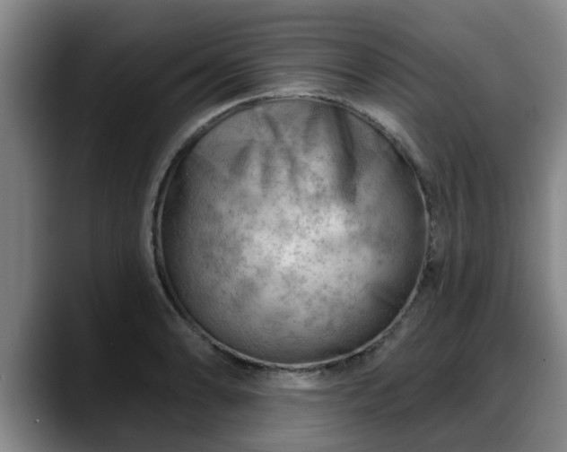 X0000088831086200706141516