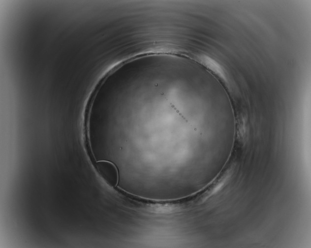 X0000088831087200706141516