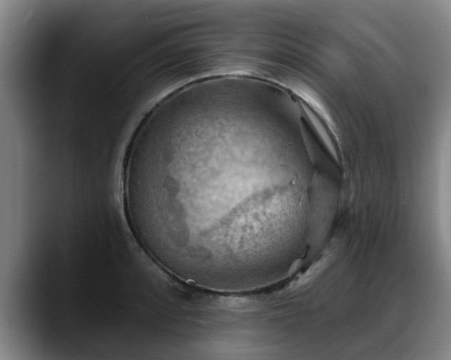 X0000088831088200706141516