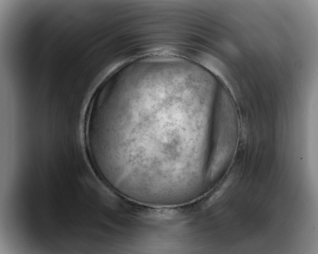 X0000088831090200706141516