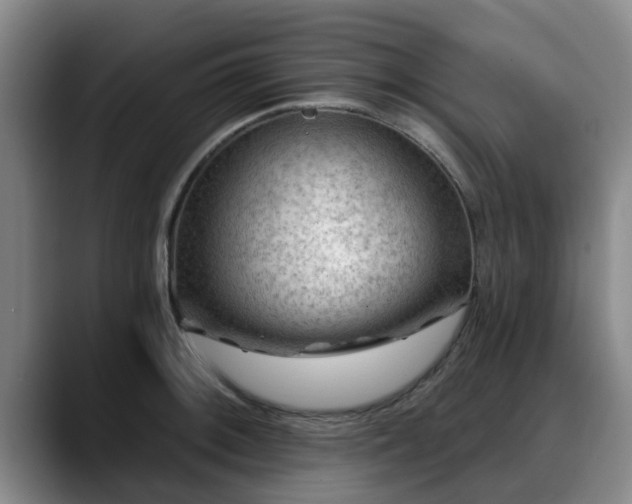 X0000088831092200706141516