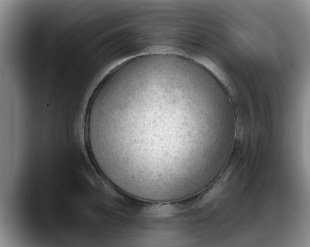 X0000088831094200706141516