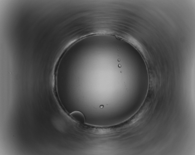 X0000088831095200706141516
