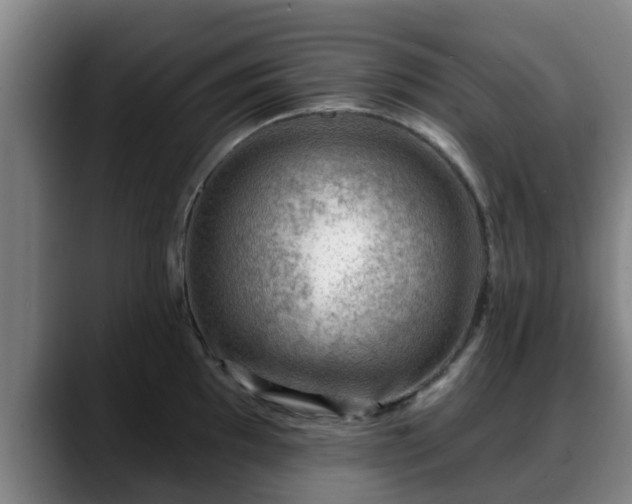 X0000088831097200706141516