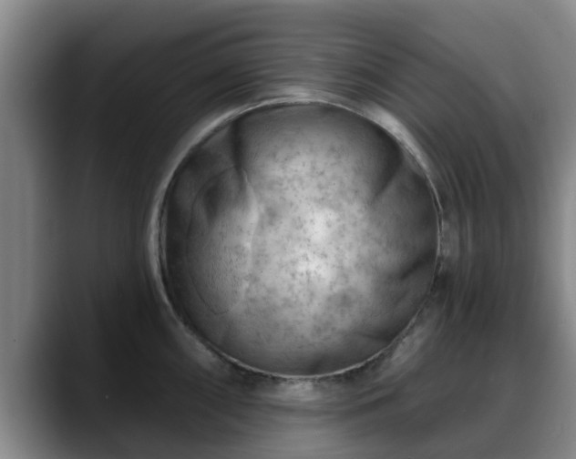 X0000088831098200706141516
