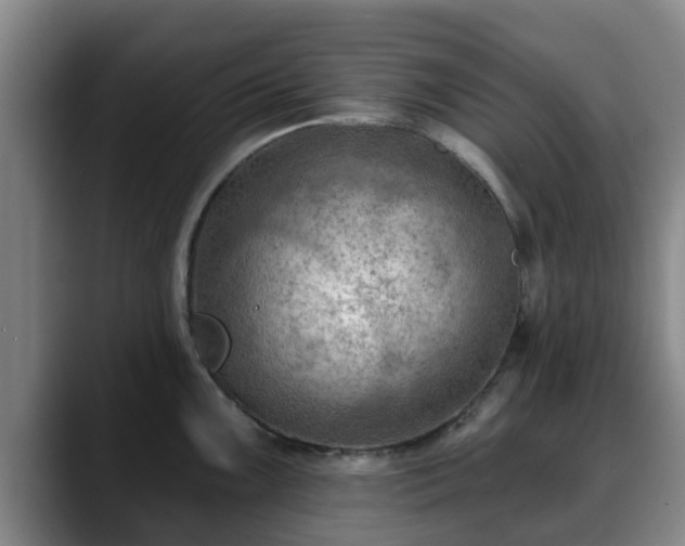 X0000088831099200706141516