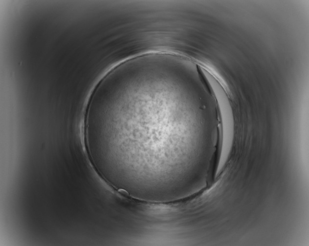 X0000088831100200706141516